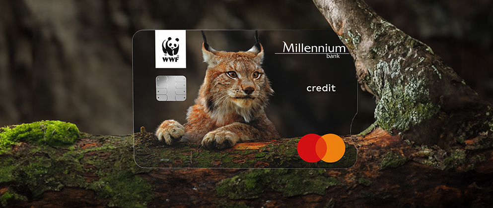 Jak aplikować o kartę kredytową Millennium WWF Mastercard
